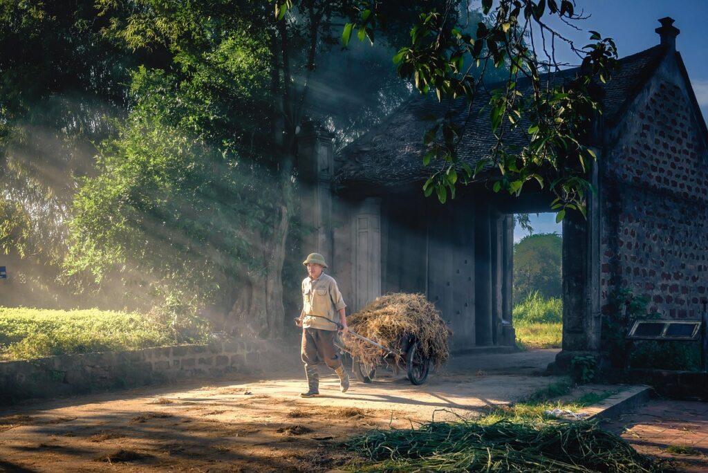 straw transport, village gateway, agricultural scene, countryside travel, traditional transportation