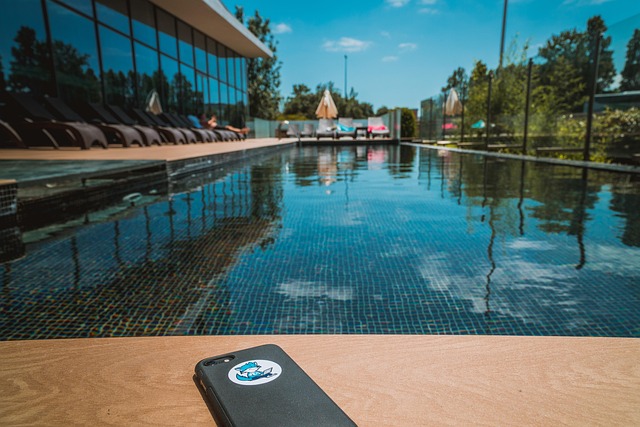 vacations, pool, nature, swimming pool, water, swim, summer, relaxation, leisure time, resort, relax, to bathe, cell phone free, digital detox